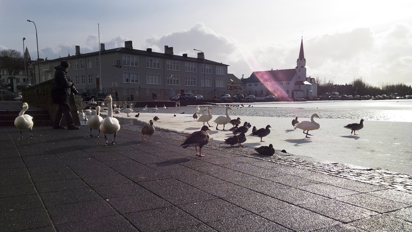 Reykjavik