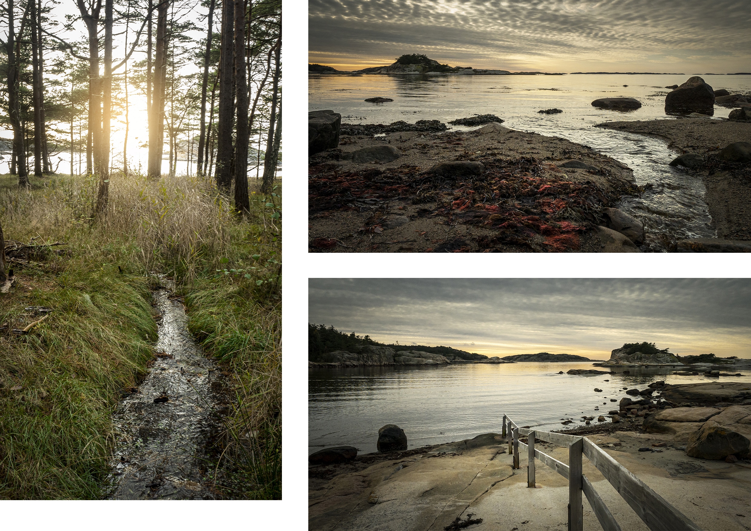 Fjällbacka Rossö sapins mer