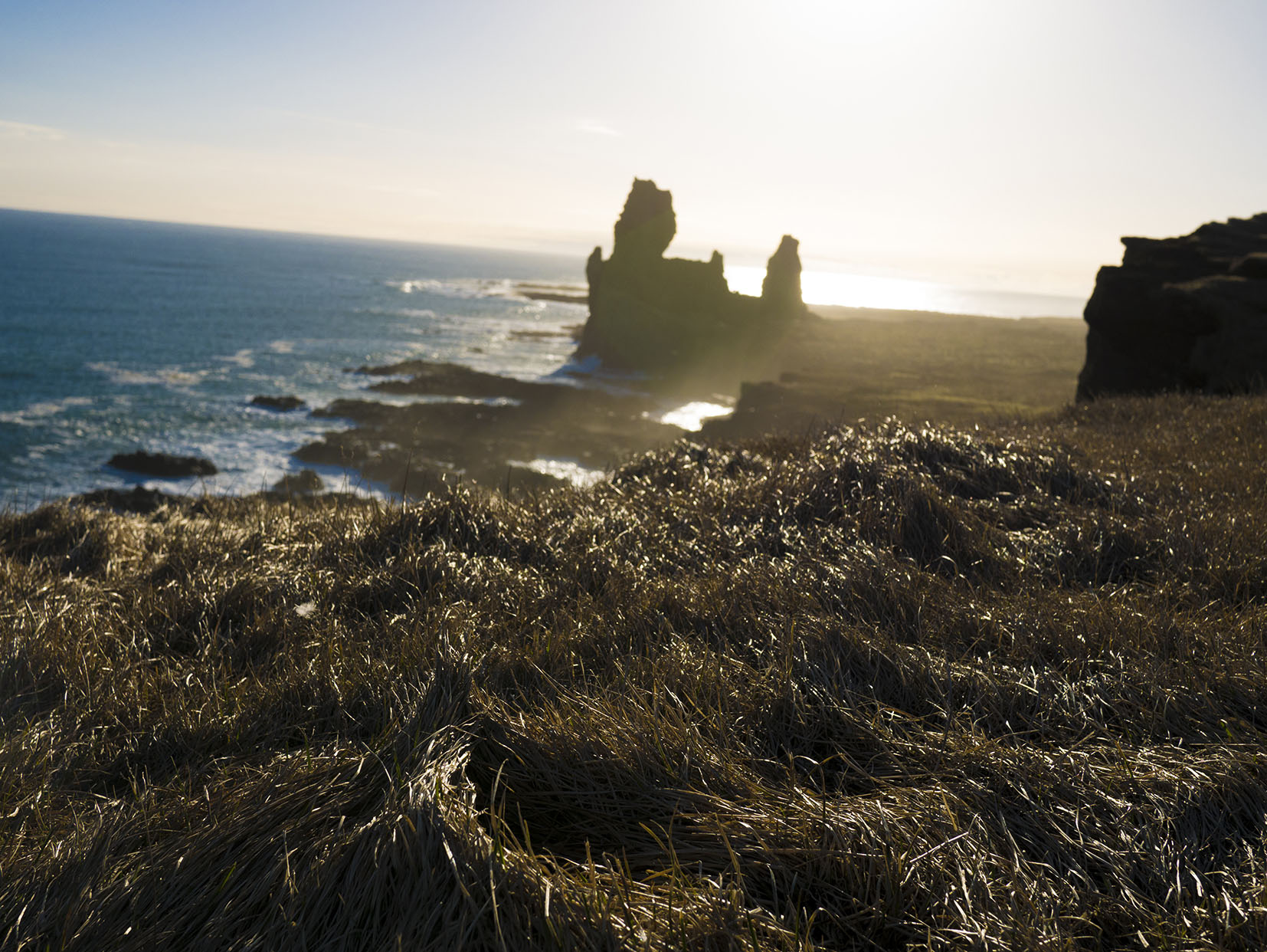 Arnarstapi falaises coucher de soleil herbe dorée