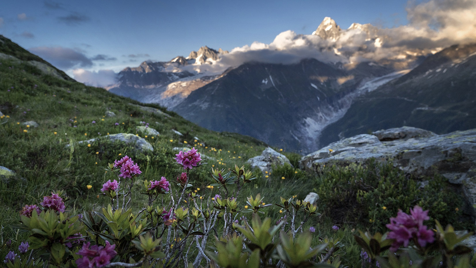 Bivouac lac Cheserys fleurs violettes herbe sommets neige nuages ciel bleu