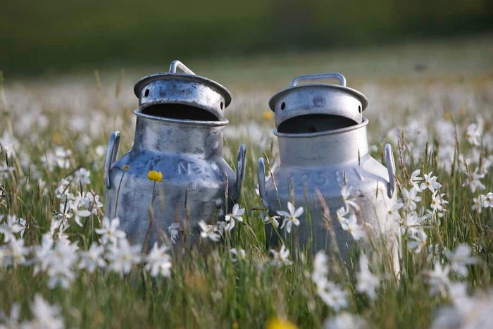 Bidons sans frontière couvercle sourires fleurs la Burdine