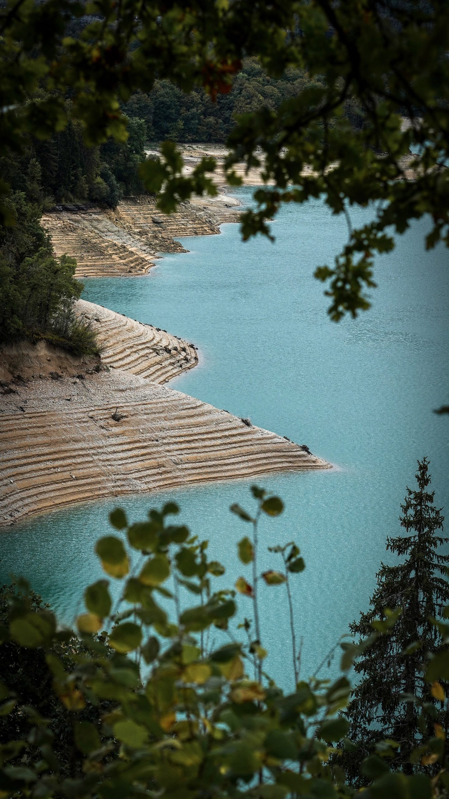 Jura lac de Vouglans arbres cadre