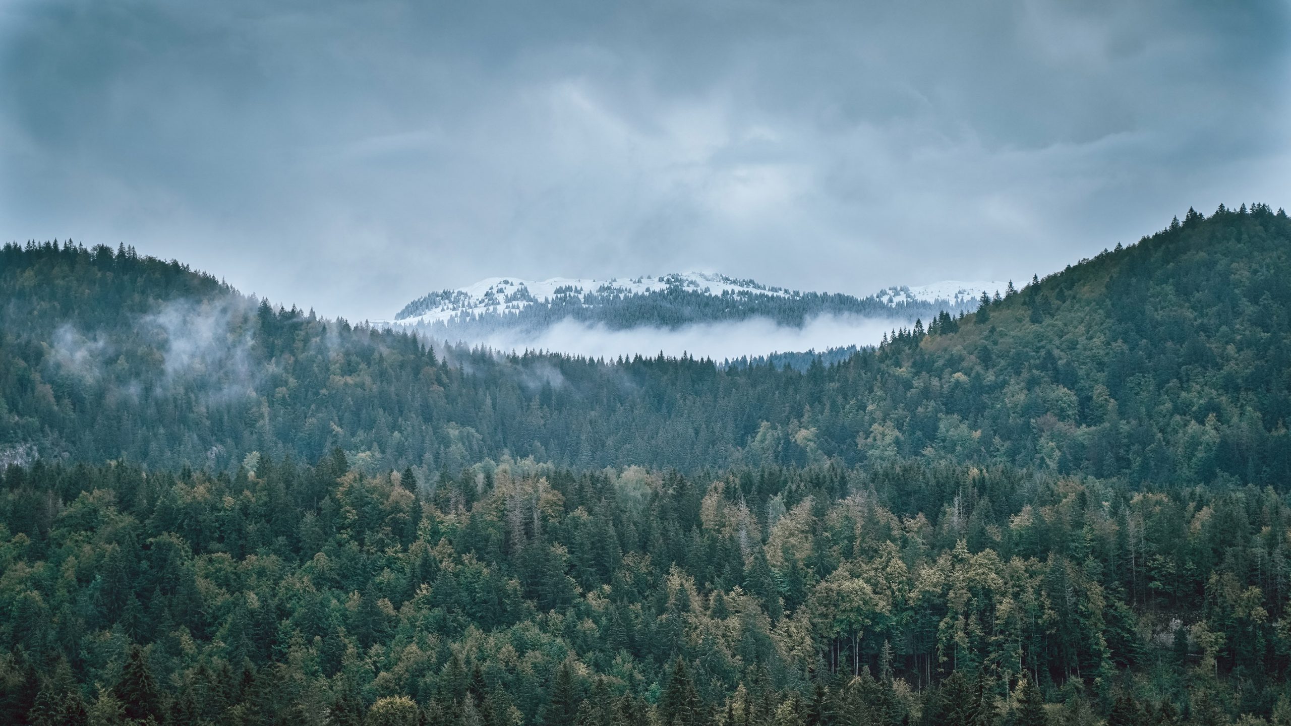 Montagnes Jura automne neige ciel gris