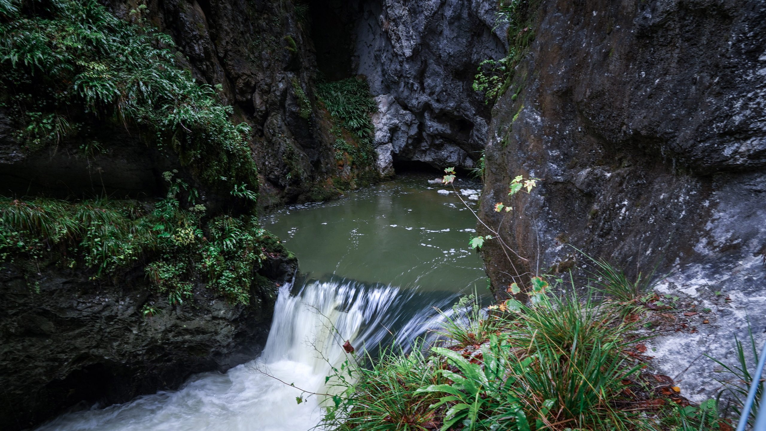Gorges de l'Abîme cascade roches humide 