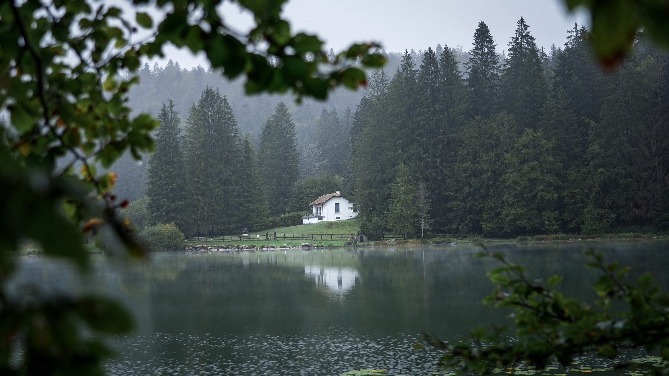 Lac Genin arbres maison brume