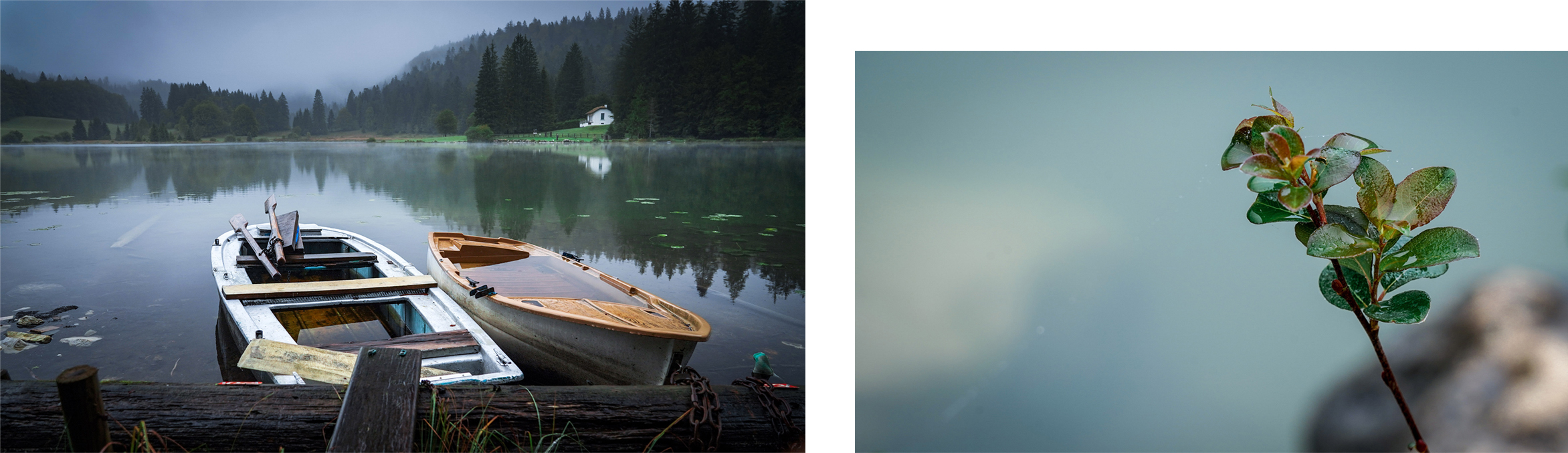 lac Genin plante barques eau nuages sapins