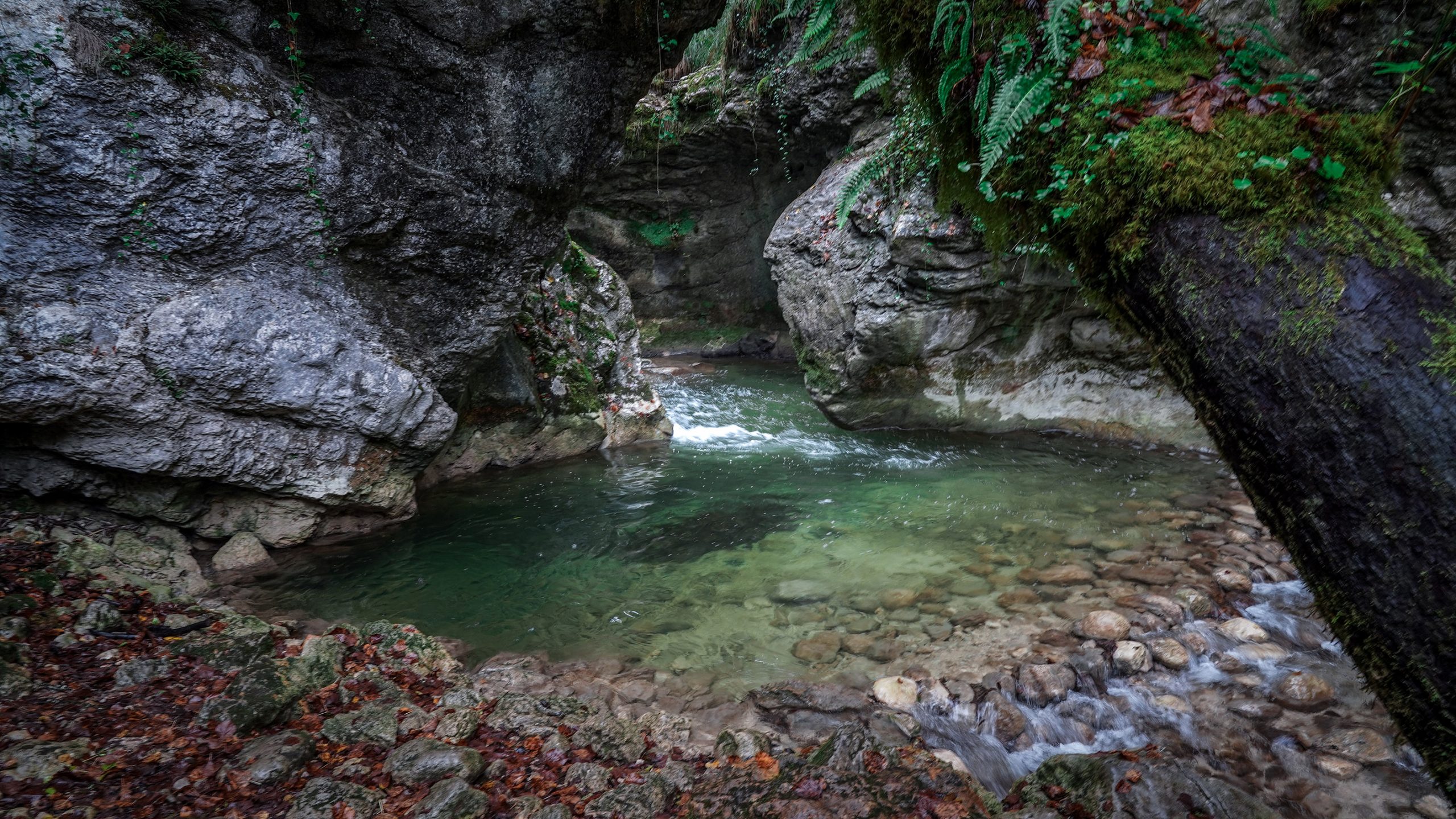 Jura cascade de Vuvoz eau verte