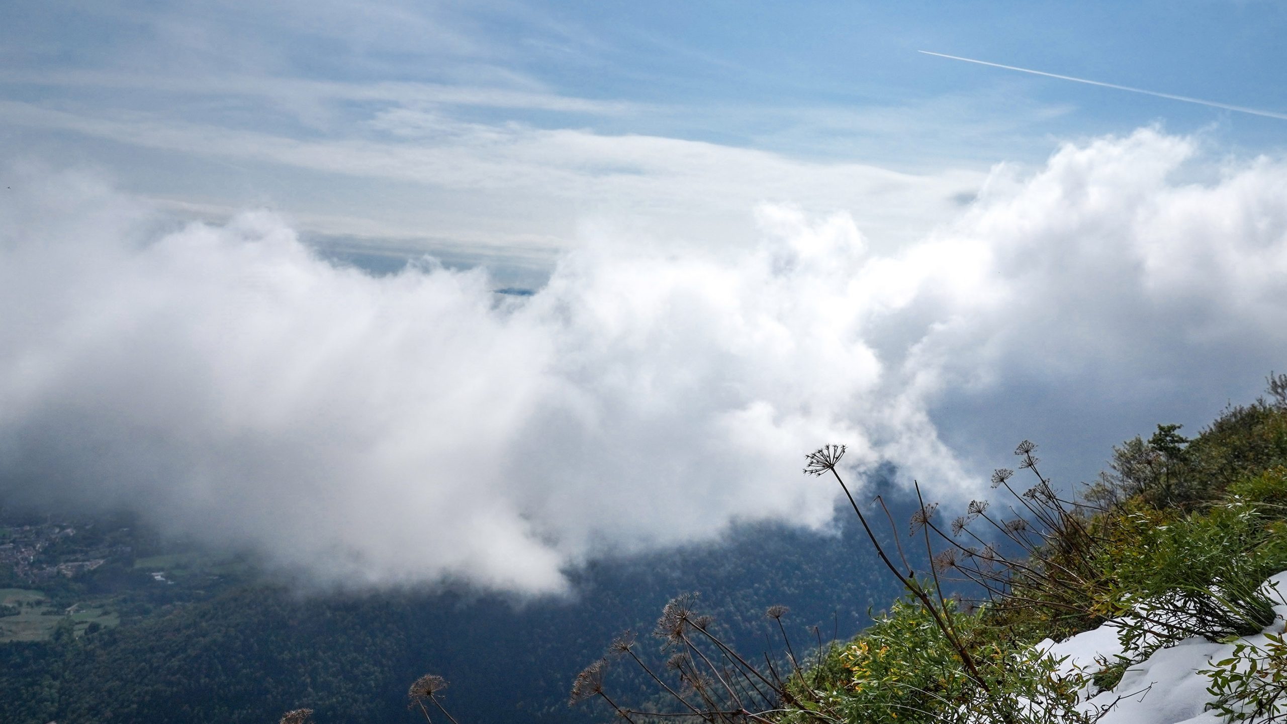 randonnée Petit Mont-Rond nuages fleur vue montagnes Jura
