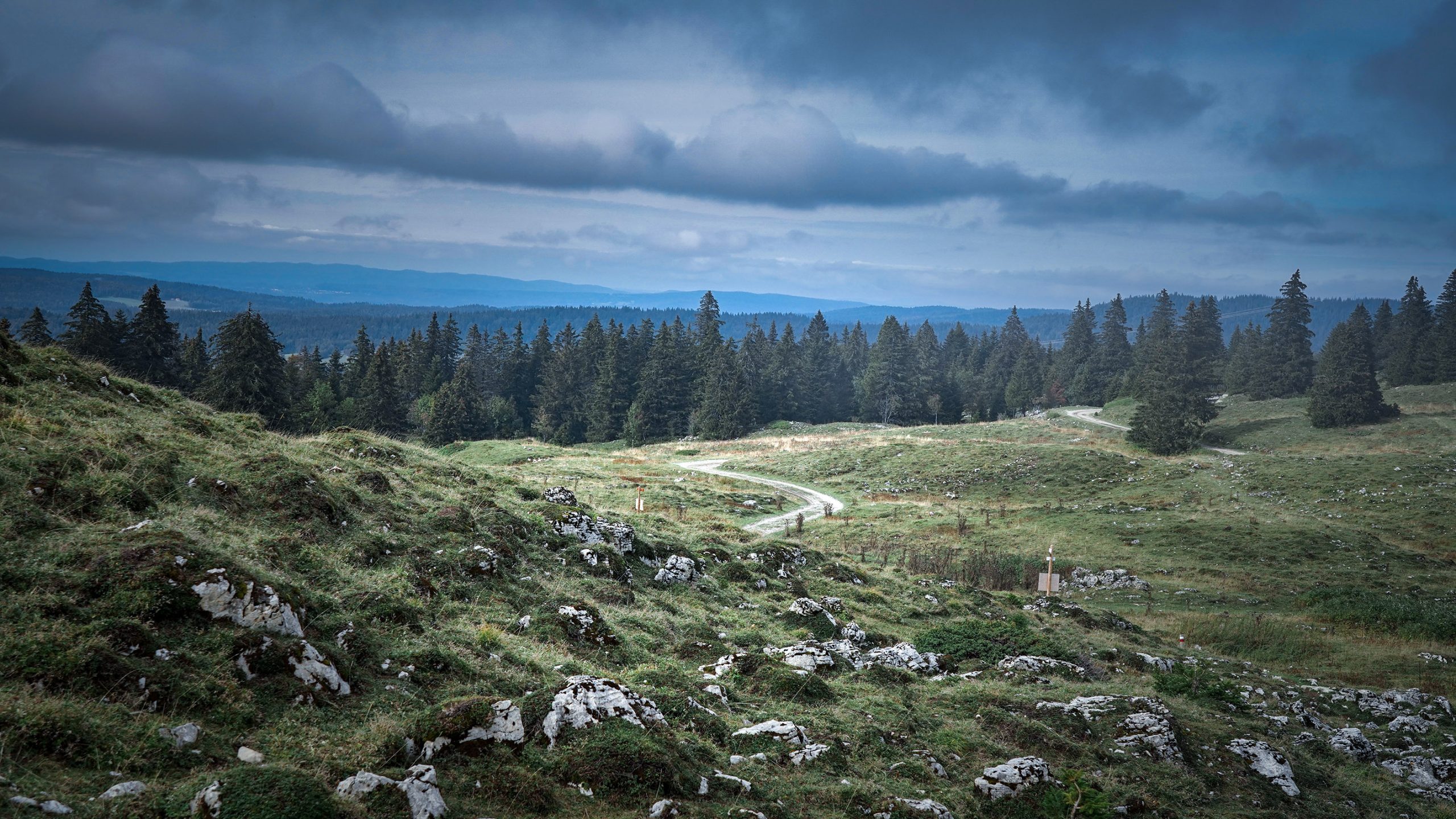 sentier randonnée serpente sapins verdure rochers nuages Grand Mont-Rond