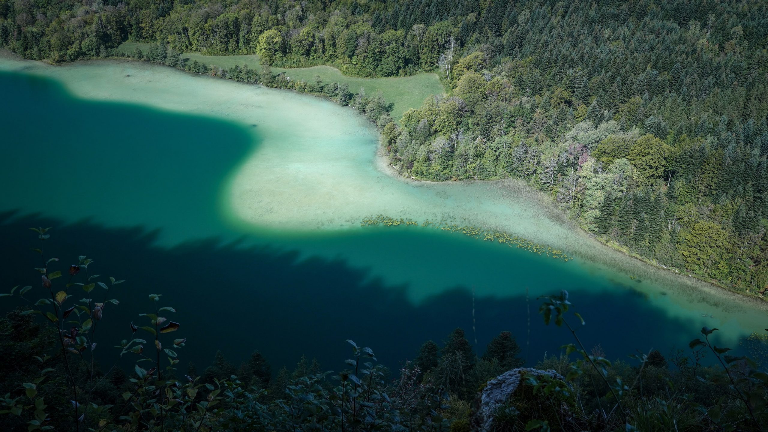 Belvédère des quatre lacs lac Maclu, courbes dégradé bleu vert sapins 