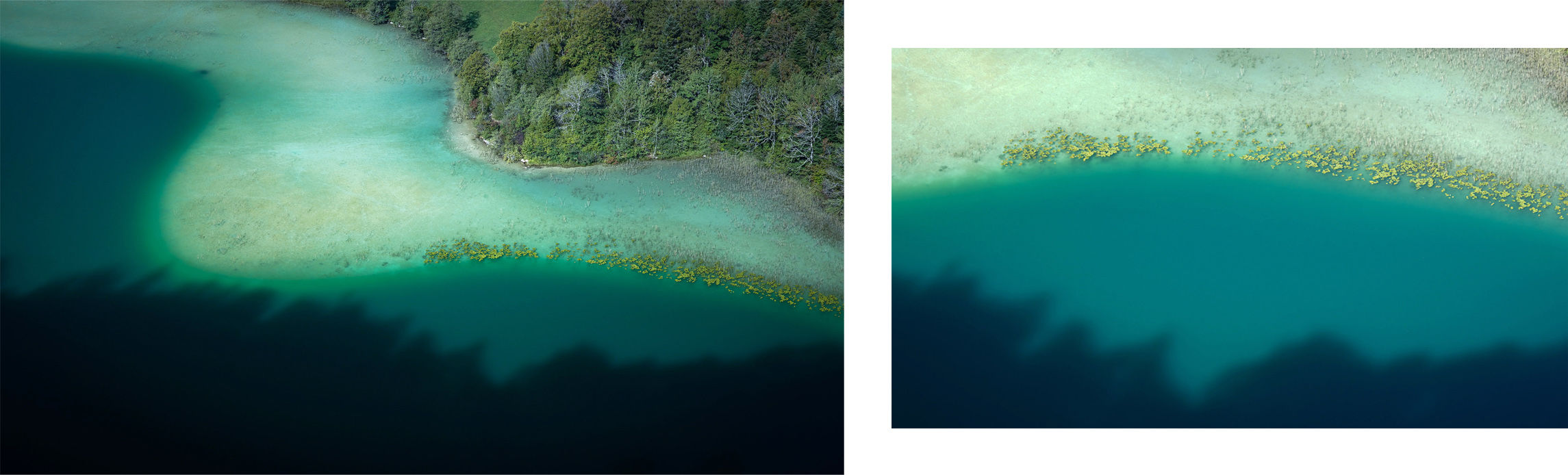 Jura belvédère des quatre lacs courve sapins automne magique