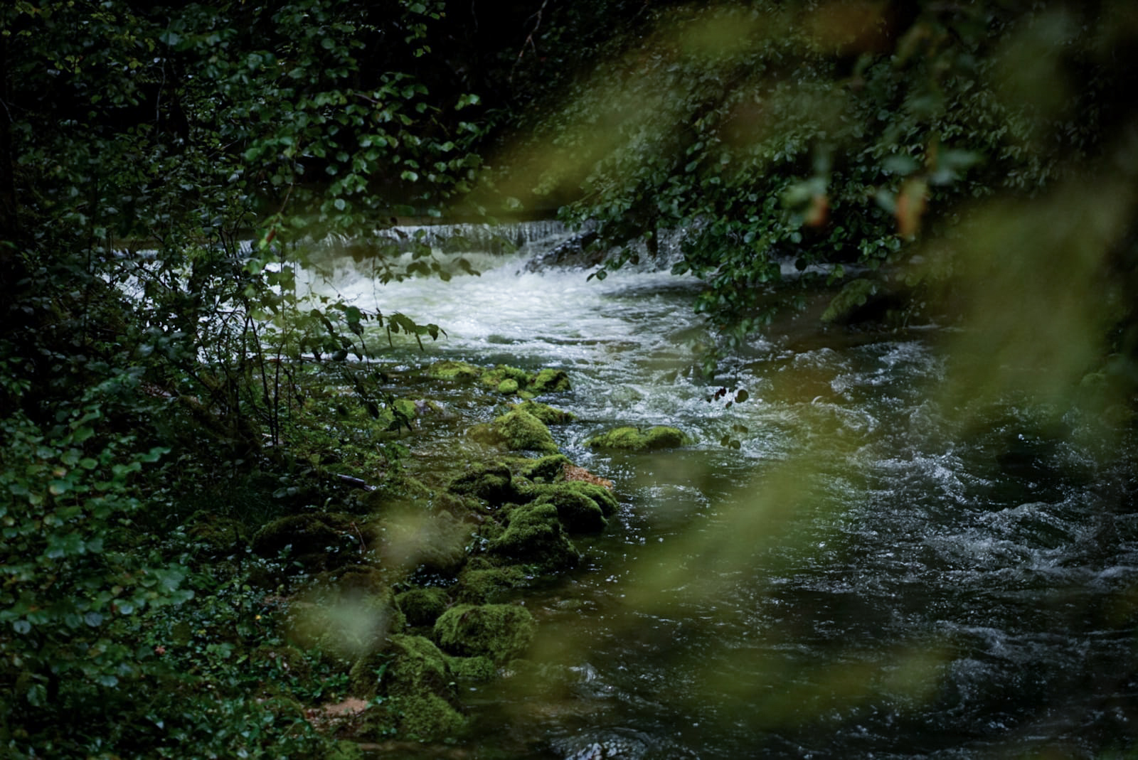 Jura Gorges de l'Abîme ruisseau cascade mousse