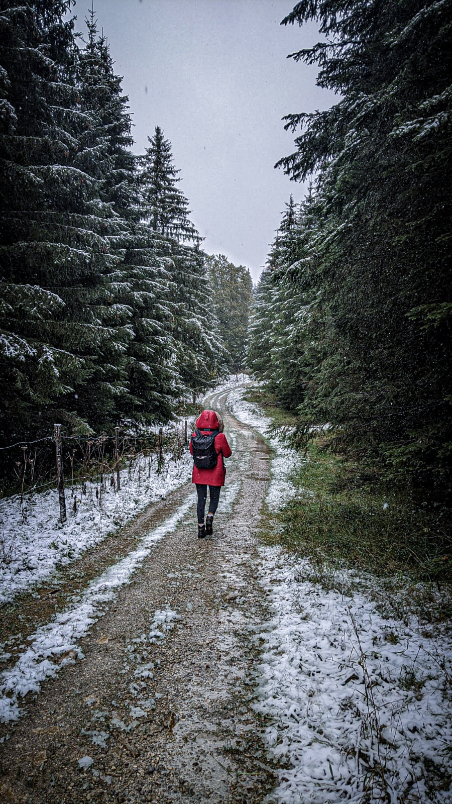 Sentier sapins virage lykorne neige