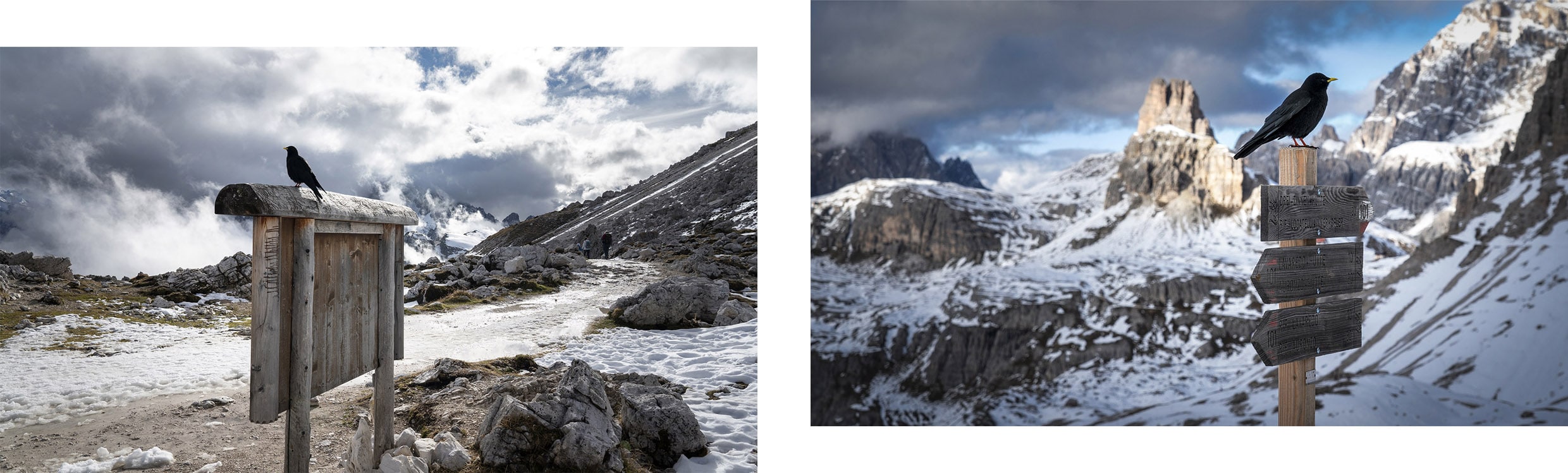oiseau panneau Sud-Tyrol