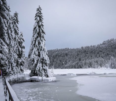 Lac de Lispach hiver neige pont sapins Vosges