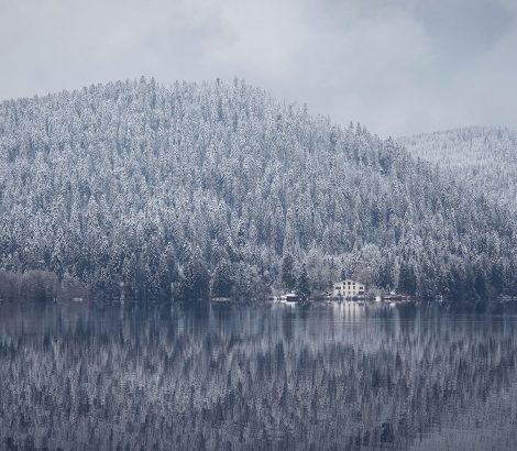 Lac de Gerardmer sapins neige nuages