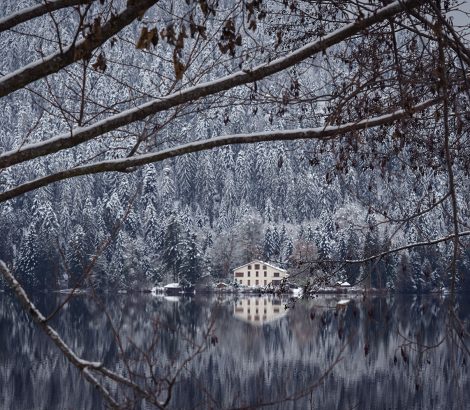 Vosges lac de Gerardmer reflet eau arbres hiver