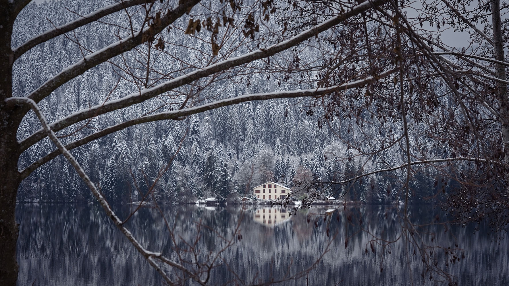 Vosges lac de Gerardmer reflet eau arbres hiver