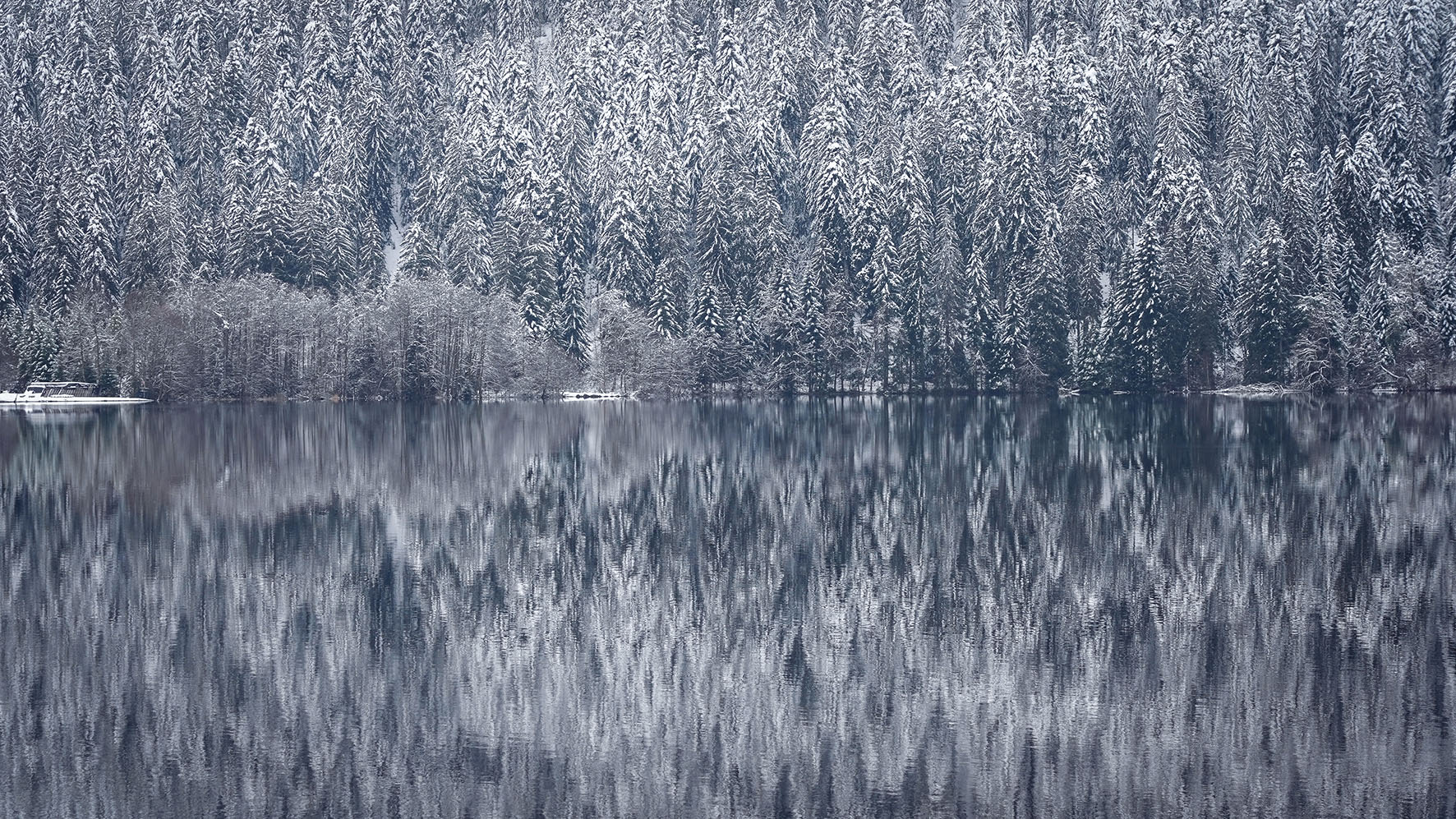 Reflet arbres eau lac de Gerardmer hiver
