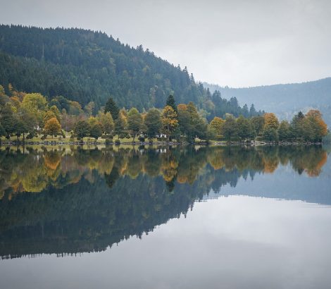 Lac de Longemer automne arbres reflets eau Vosges
