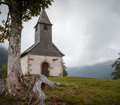 Lac de Longemer chapelle arbre colline