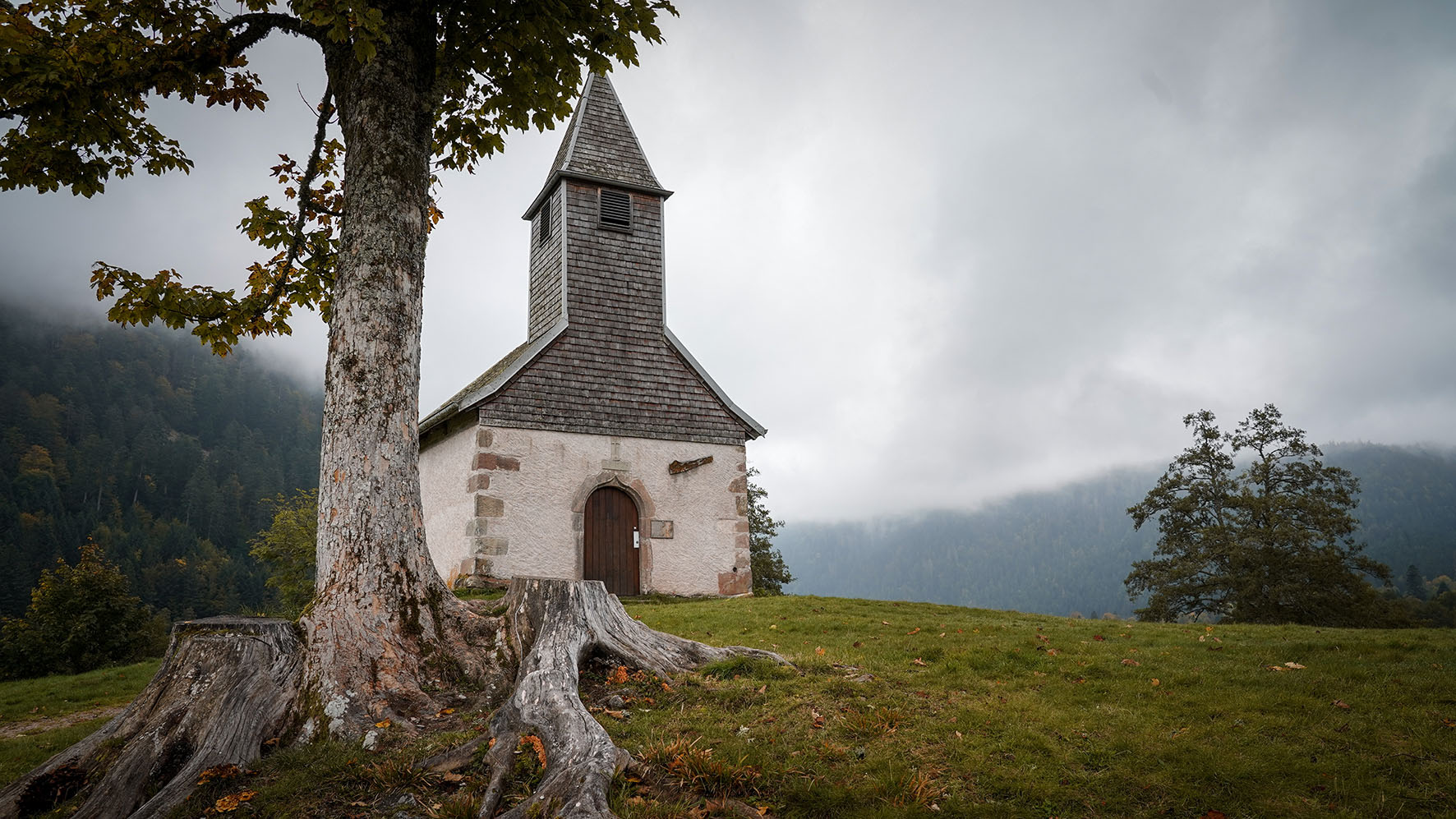 Lac de Longemer chapelle arbre colline