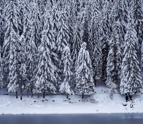 Lac des Corbeaux sapins neige