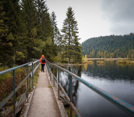 Lac de Lispach pont Vosges