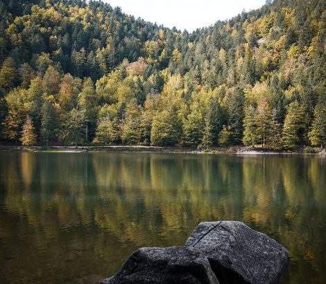 lac des Corbeaux Vosges automne pierres eau sapins