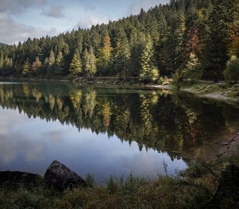 Lac des Corbeaux arbres automne reflet eau