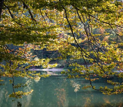 lac des Corbeaux automne feuilles eau