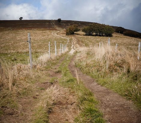 Rothenbachkopf sentier balade