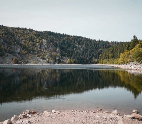 lac Blanc soleil sapins vert