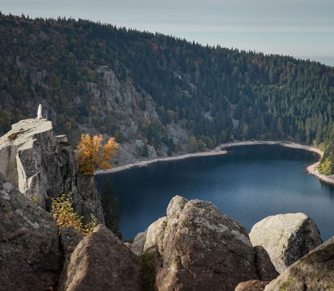 lac Blanc sapins vierge Vosges