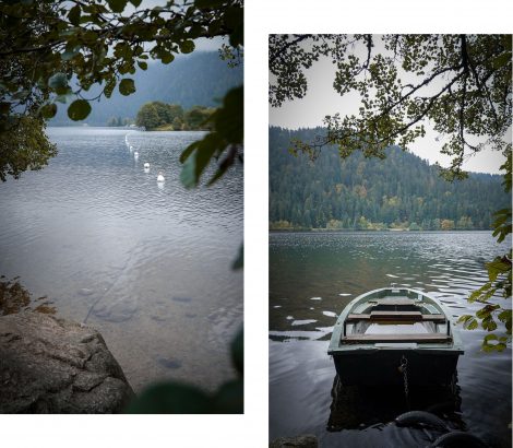 Lac de Longemer canoe bouées arbres
