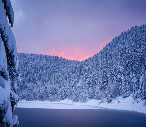 Vosges lac des Corbeaux neige eau sapins ciel rose