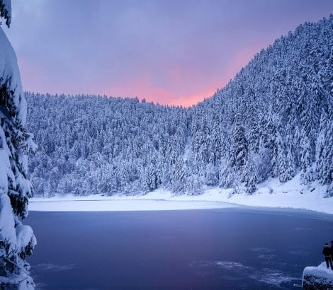 Que faire dans les Vosges blog